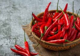 Five 5 Effects of Eating Chillies on Your Body