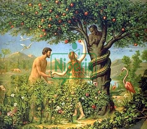 Reason Why God Directed Adam And Eve Not To Eat The Forbidden Fruit Reason Why God Directed Adam And Eve Not To Eat The Forbidden Fruit