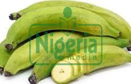 JUST-IN: Effects Of Plantain On People With High Blood Pressure
