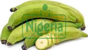 JUST-IN: Effects Of Plantain On People With High Blood Pressure