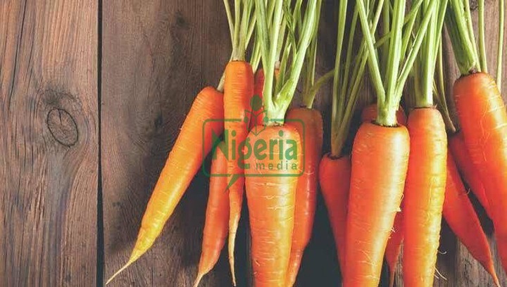 2 Main Diseases Eating Carrots Regularly Can Help Treat