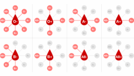 JUST-IN: If You’re Blood Group O, Find Out What It Signifies