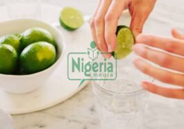 Health Benefits Of Drinking Lime Water You Never Knew (BREAKING NEWS)