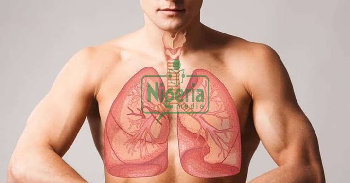 BREAKING: Your Lungs Are Not In Good Condition If You Experience The Following
