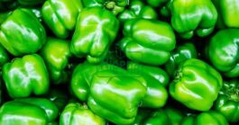 BREAKING: Health Benefits Of Green Peppers that Many People May Not Be Aware Of