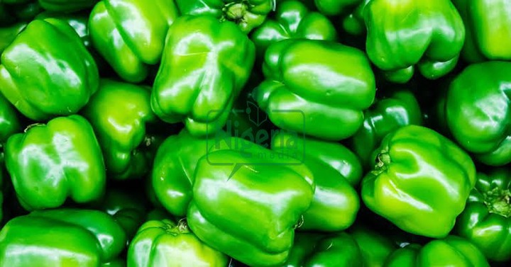 BREAKING: Health Benefits Of Green Peppers that Many People May Not Be Aware Of BREAKING: Health Benefits Of Green Peppers that Many People May Not Be Aware Of