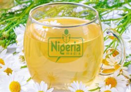 BREAKING: Want To Sleep Better? Drink One Of These Teas And Hot Beverages Before Bed Each Night