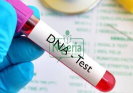 BREAKING NEWS: A Cheaper Way Of Confirming The Farther of The Child Without Going Through A DNA Test