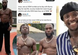 JUST-IN: VDM is a hypocrite – X influencer reacts as activist chills with Burna Boy days after calling out the singer over N3.2b car (Video)