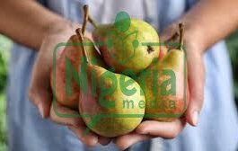 HEALTH: What Happens To Your Body When You Eat Pears