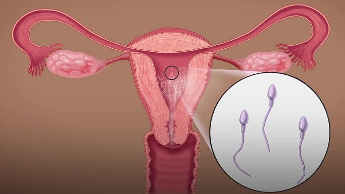 Here is The Most Effective Family Planning Method to Consider Here is The Most Effective Family Planning Method to Consider