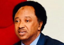 JUST-IN: Herders Are Not Farmers, If You Spray Pesticides That Kill My Cattle You're Triggering an Issue—Sani