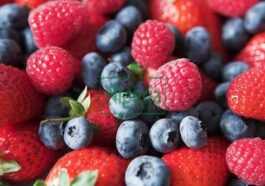 BREAKING: Know The Health Benefit Of Eating Berries Daily