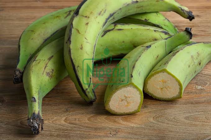 BREAKING: Effects Of Plantain On People With High Blood Pressure BREAKING: Effects Of Plantain On People With High Blood Pressure
