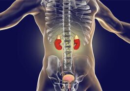 BREAKING NEWS: Love Your Kidney and Liver: Avoid Excessive Drug Use