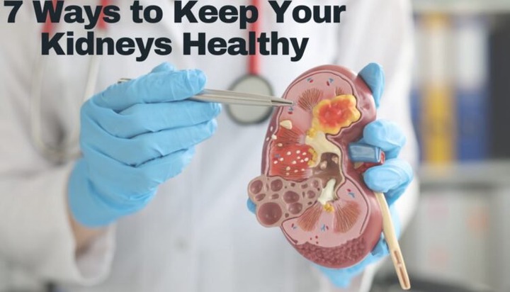 Seven Essential Steps To Maintain Healthy Kidneys Seven Essential Steps To Maintain Healthy Kidneys