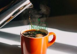 What Happens To Your Blood Pressure When You Drink Coffee Every Day?