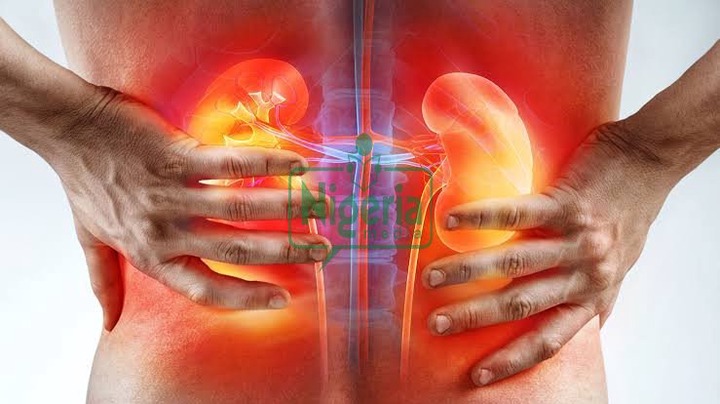 BREAKING NEWS: 10 Common Habits That May Harm Your Kidneys BREAKING NEWS: 10 Common Habits That May Harm Your Kidneys