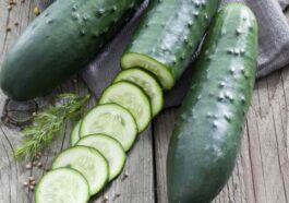 Healthy Benefits of Including Cucumber in Your Diet