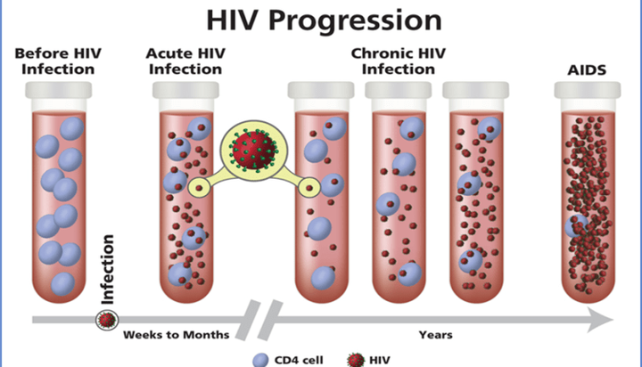 Why HIV Can Remain Asymptomatic for Many Years (DETAILS) Why HIV Can Remain Asymptomatic for Many Years (DETAILS)