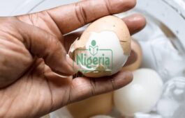 Eight Foods That Should Not Be Combined With Eggs