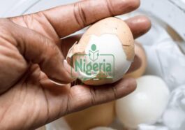 Eight Foods That Should Not Be Combined With Eggs
