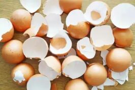 Discover These Step-by-Step Methods to Use Eggshells as a Natural Remedy for Promoting Hair Growth