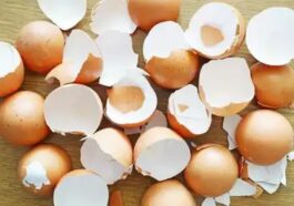 Discover These Step-by-Step Methods to Use Eggshells as a Natural Remedy for Promoting Hair Growth