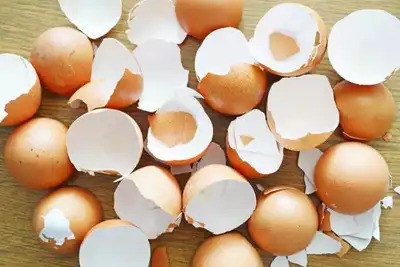 Discover These Step-by-Step Methods to Use Eggshells as a Natural Remedy for Promoting Hair Growth