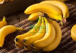 Dangerous 6 Foods To Never Eat With Bananas