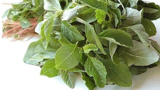 Opinion: Foods That Helps to Boost immunity in HIV Patients
