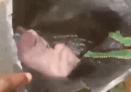 Newborn baby abandoned in Bagco bag by gutter in Ijebu Ode sparks outrage (Photo)