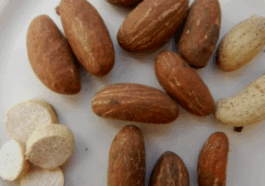 How To Flush Out Infections from Your Body with Bitter Kola