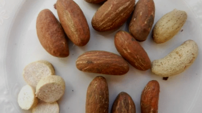 How To Flush Out Infections from Your Body with Bitter Kola