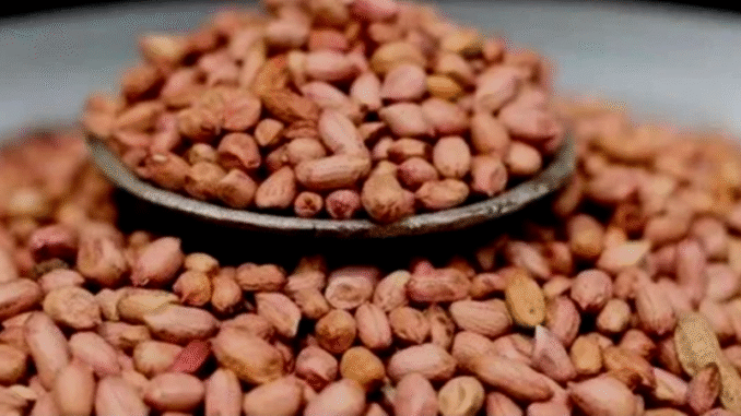Dear Men: Here is What Happens When You Take Groundnuts Daily