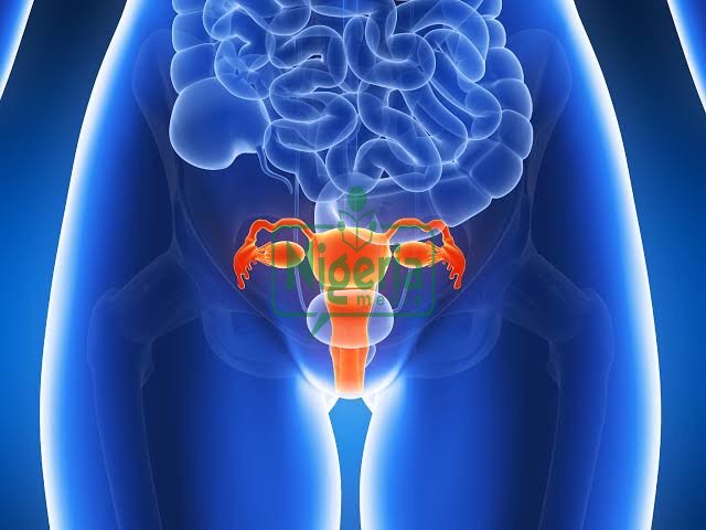Uterine Cancer: Stay Away From These 4 Things To Avoid The Risk Of Being A Victim