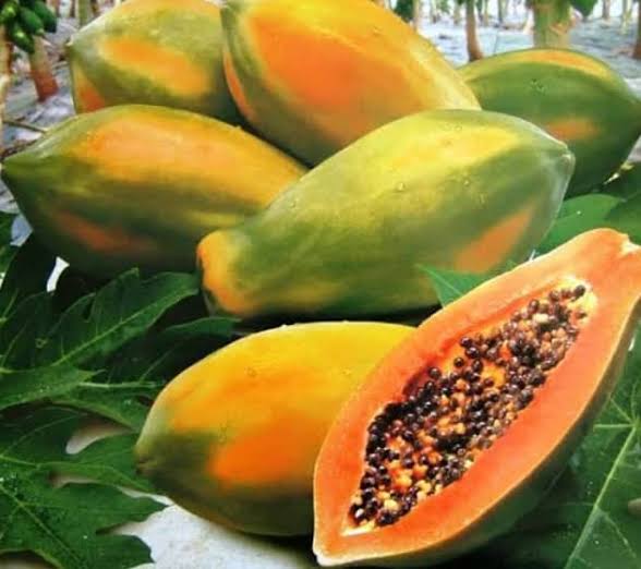 Pawpaw
