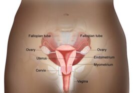 Dear Women, Uterine Cancer Kill: Stay Away From These 4 Things To Avoid The Risk Of Being A Victim