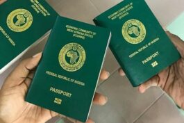 3 Countries Nigerians Should Consider for Japa Beyond the US, UK, and Canada