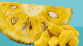 Jackfruit is Meat on The Rise ,The Tropical Wonder You Shouldn’t Ignore