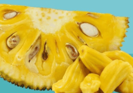 Jackfruit is Meat on The Rise ,The Tropical Wonder You Shouldn’t Ignore
