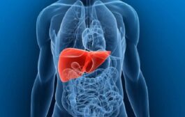 Parts Of The Body You Will Feel Pain If The Liver Is Swollen Due To Diseases