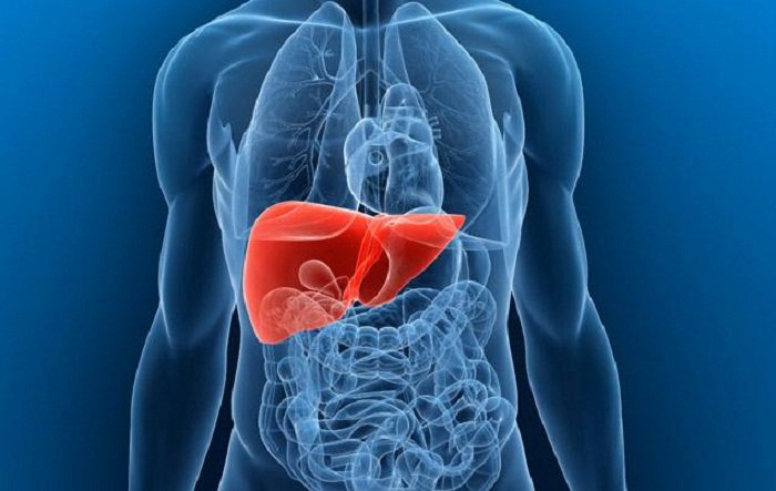 Parts Of The Body You Will Feel Pain If The Liver Is Swollen Due To Diseases