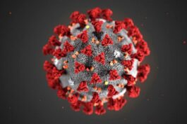 Five Deadly Diseases That Can Quickly Claim Lives