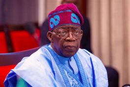 [2027 Election] Shettima vs Kwankwaso: Tinubu Told Of “Creative Ways”