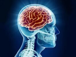 10 Techniques For Training Your Brain To Remember Almost Anything To