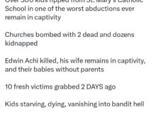 Nigerian man reacts to First Ladys planned dinner with senators amid rising insecurity