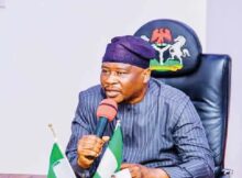 Adamawa governor Fintiri pardons farmer sentenced to death for killing herder