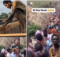 Ghanaians rush to Noahs Ark as prophet predicts Christmas Day flood